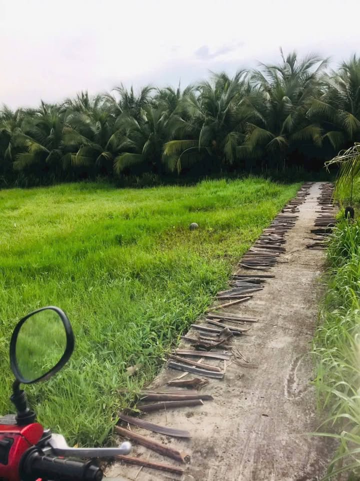 Đất nền khu phố 2 Thị Trấn Vĩnh Bình, Gò Công Tây 475m² giá 400 triệu - Sổ đỏ chính chủ ngay!