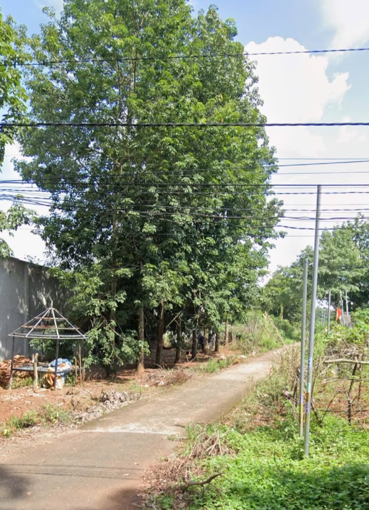 Đất nền chính chủ tại Bình Long 262m² giá thỏa thuận - Cơ hội đầu tư tuyệt vời!