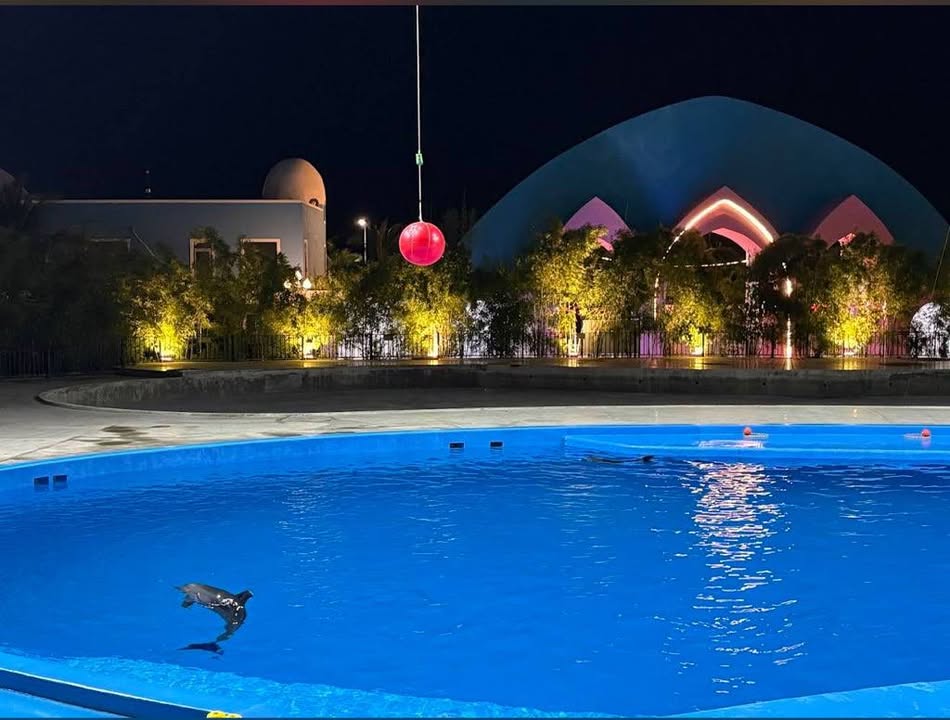 Đất mặt biển Lạc Long Quân Đà Nẵng 530m² giá 17 tỷ - Tiềm năng kinh doanh lớn!