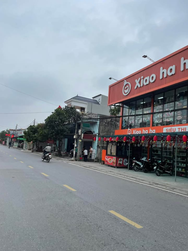 Đất nền 100m² mặt đường 208, Hồng Phong - Kinh doanh sầm uất, giá 4.1 tỷ!