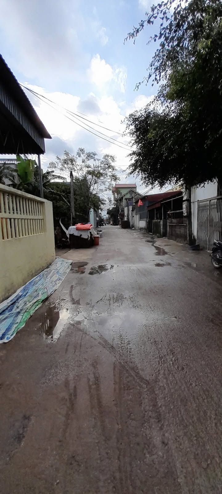 Lô đất 110m² tại phường Hải Bình, Nghi Sơn - Bán gấp sát chợ Đón Tân Vinh!