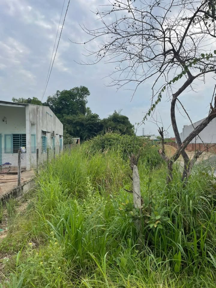 Đất nền Thạnh Đông Tân Châu 294m² giá 450 triệu - Cơ hội đầu tư tuyệt vời!