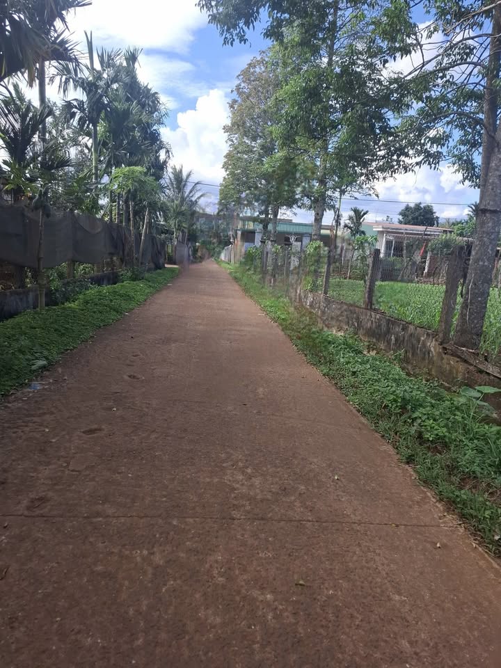 Đất nền Cư M'gar 125m² giá 1.1 tỷ - Đầu tư sinh lời ngay!