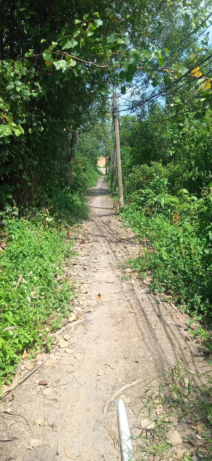 Đất vườn 188m² tại ấp 6 Thạnh Lợi, Bến Lức - Giá chỉ 230 triệu, cơ hội đầu tư tuyệt vời!