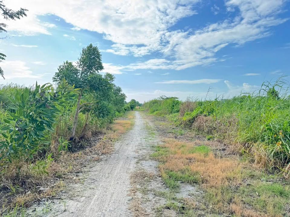 Đất nền liền kề hẻm 275 đường Quang Trung, Rạch Giá 230m² giá 650 triệu - Đầu tư sinh lời ngay!