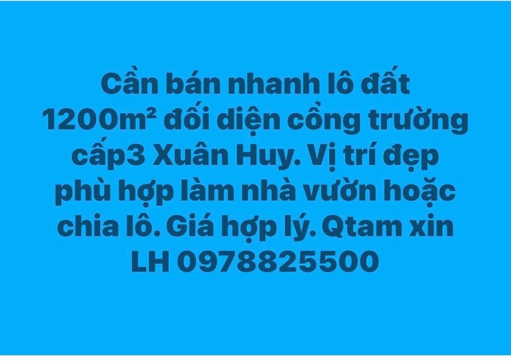 Đất nền 1200m² xã Trung Môn, Yên Sơn - Vị trí đẹp, giá cả hợp lý!