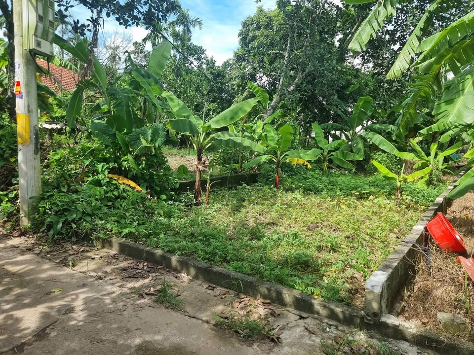 Đất thổ cư Thôn Đào Xá, xã Thắng Lợi, 48m² giá 2 tỷ - Đường ô tô vào tận nơi!