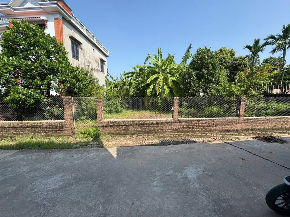 Đất nền Cẩm Định 295m² giá 2.xxx tỷ - Đường thông thoáng, xây dựng ngay!