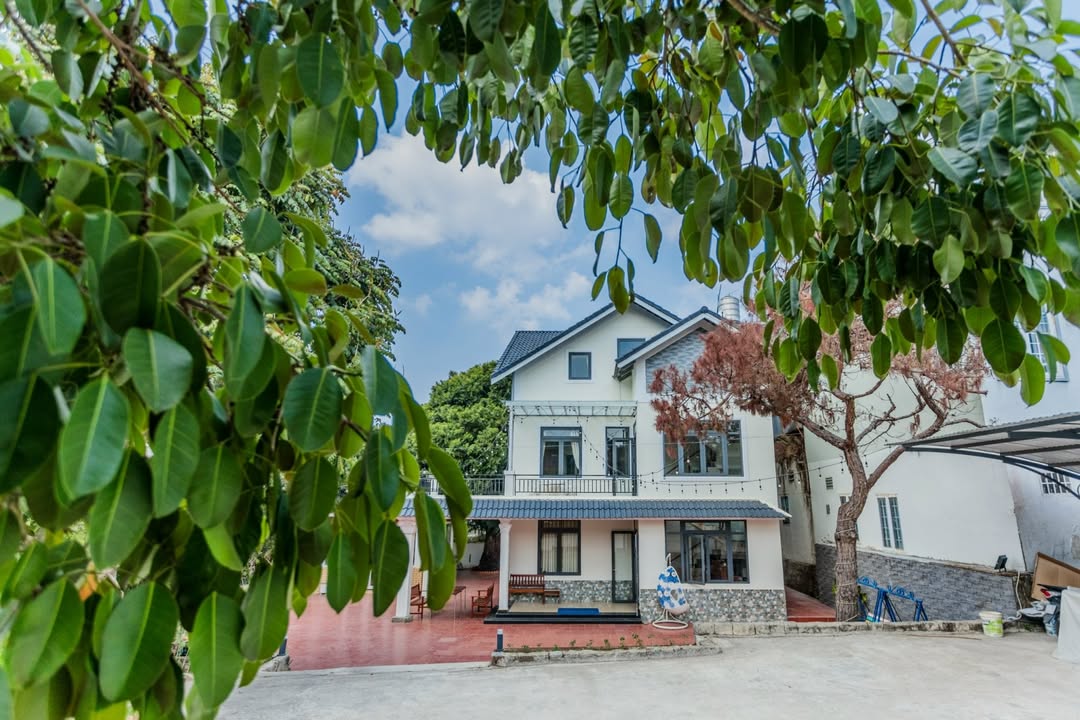 Cho thuê villa Đà Lạt 32 pax - Sân vườn rộng thoáng, gần điểm tham quan!