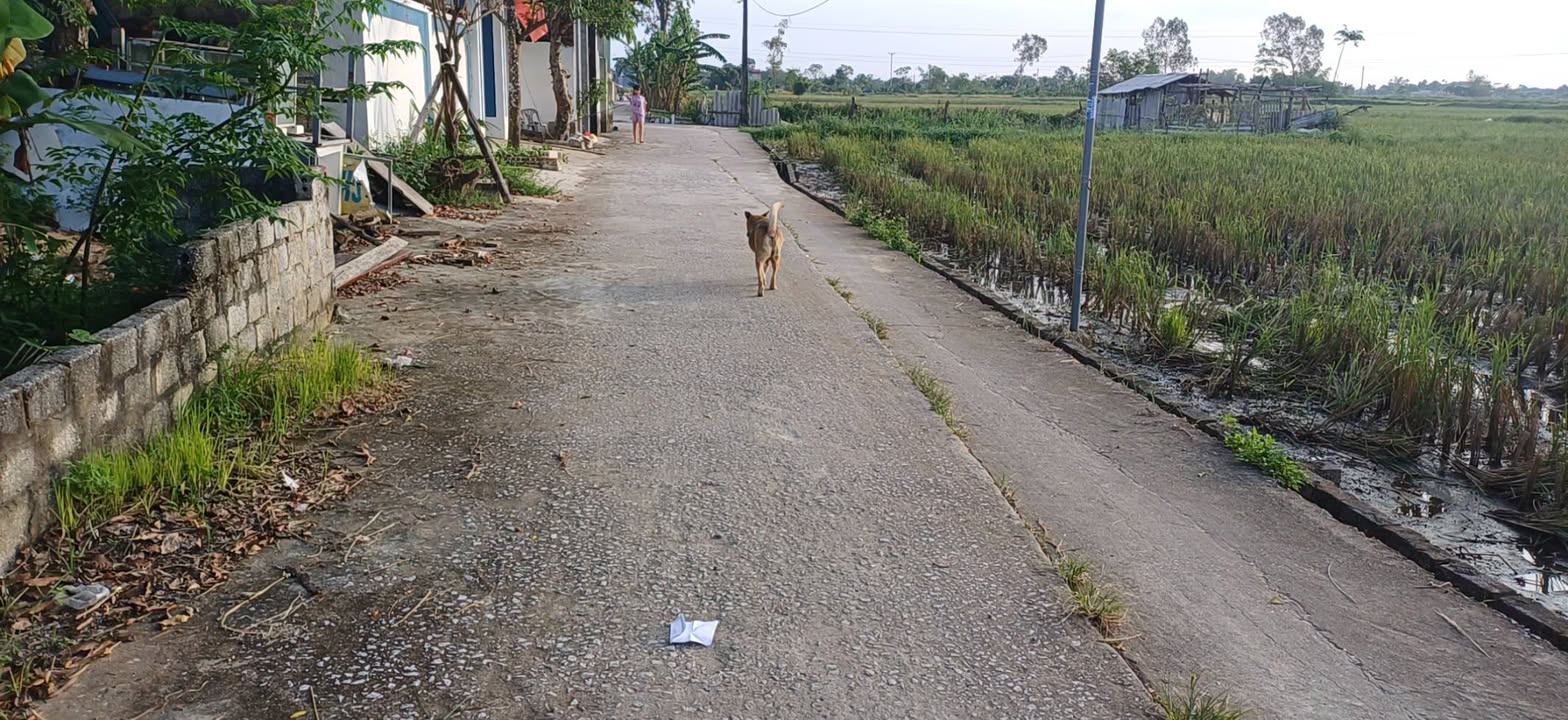 Đất nền tại đường Xích Ngọc, phường Quảng Đông, 85m² - Chỉ 1 tỷ VND