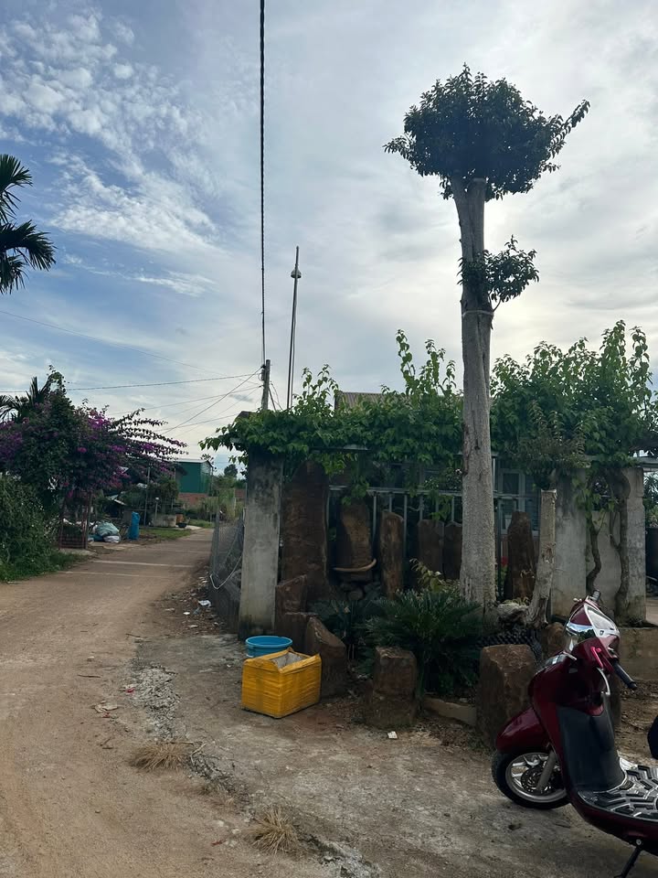 Nhà đẹp tại Nam Đà, Krông Nô, 100m² chỉ 1.42 tỷ - Chính chủ bán gấp!