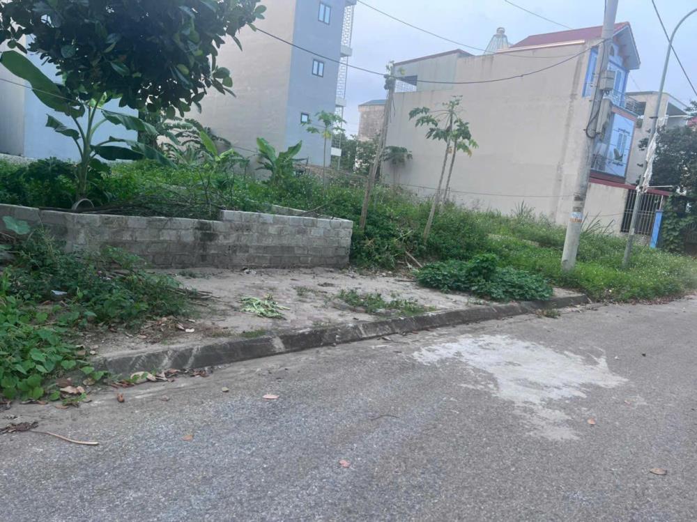 Đất nền Thạch Hòa 100m² giá 7.5 tỷ - Vị trí đắc địa, tiềm năng sinh lời cao!