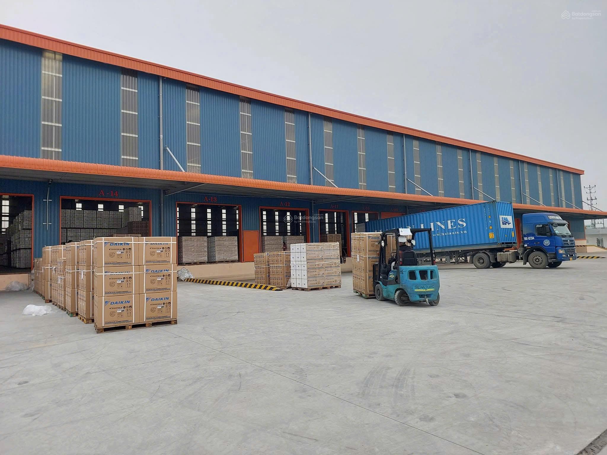 Cho thuê kho tại Thuận An, Bình Dương - Diện tích 8000m², dịch vụ quản lý chuyên nghiệp!