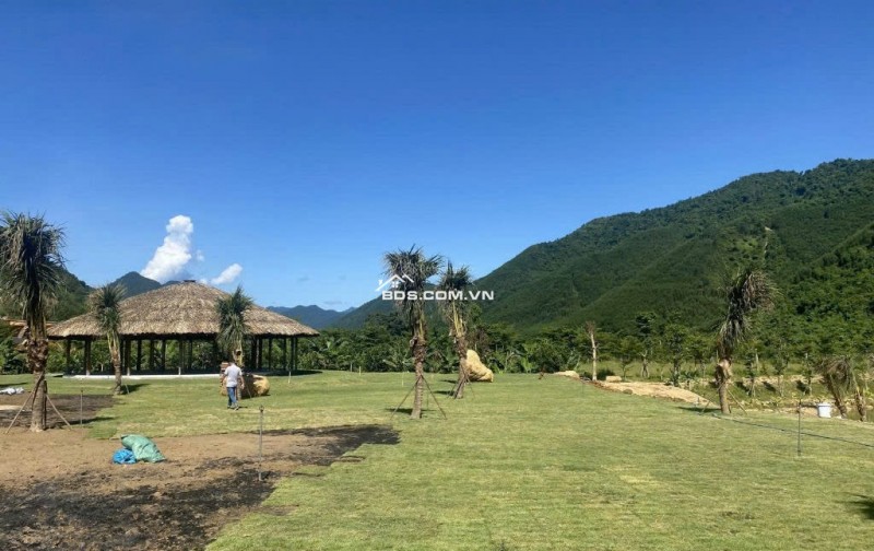 Bán khu Eco Farm Hòa Bắc 35.214m² giá 18.3 tỷ - Tiềm năng du lịch sinh thái cực lớn!