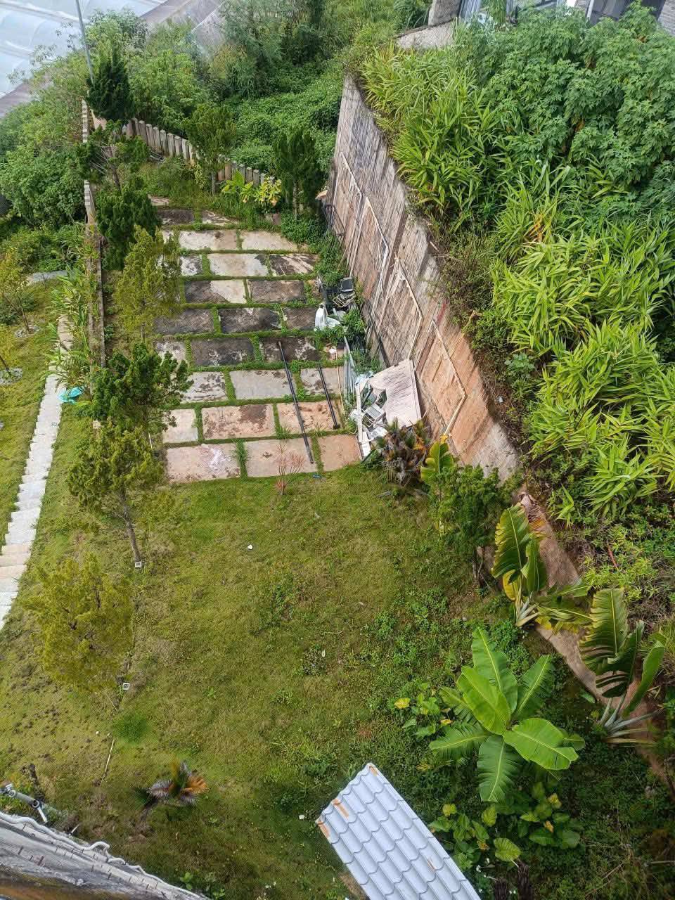 Đất Biệt Thự Hoàng Hoa Thám Đà Lạt 251m² giá 8.3 tỷ - View rừng thông tuyệt đẹp!