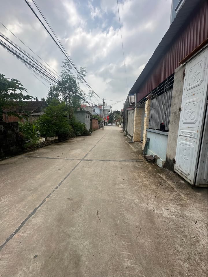 Đất nền đẹp Thị trấn Phúc Thọ 100m² giá 4 tỷ - Cơ hội đầu tư sinh lời cao!