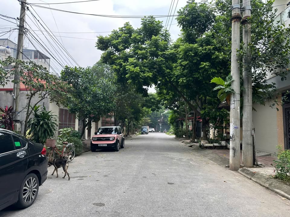 Đất nền TDP An Sơn, Đống Đa, Vĩnh Yên 108m² - Sổ đỏ chính chủ, giá thỏa thuận!