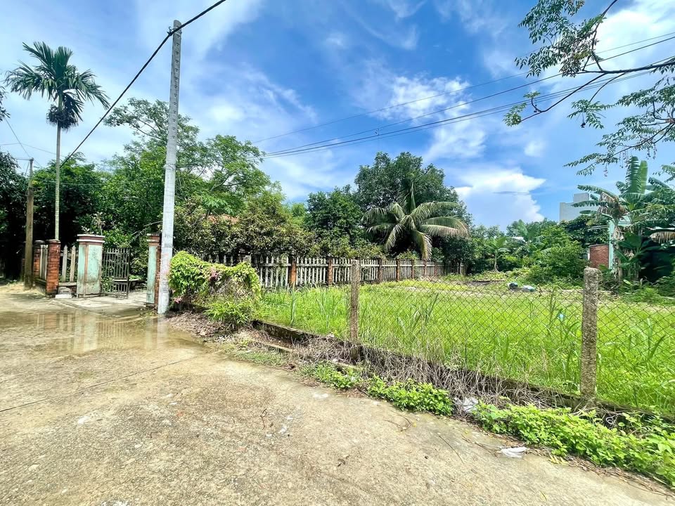 Đất Bê Tông Điện Nam Bắc 143m² giá 1.7 tỷ - Đầu tư lý tưởng!