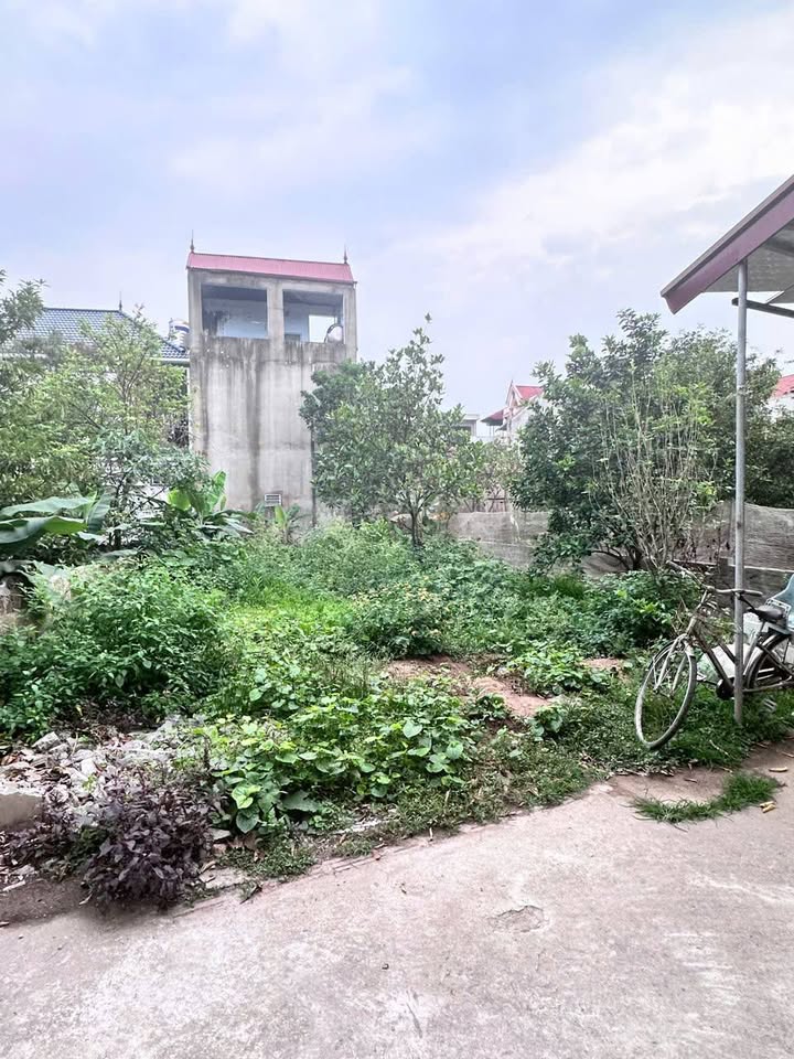 Đất góc tại Xóm 3 - Chương Dương 161m² giá 4.83 tỷ - Cơ hội xây biệt thự sang trọng!