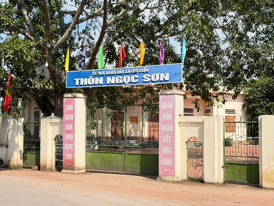 Đất nền Chu Điện Lục Nam 100m² giá 600 triệu - Cơ hội đầu tư hiếm có!