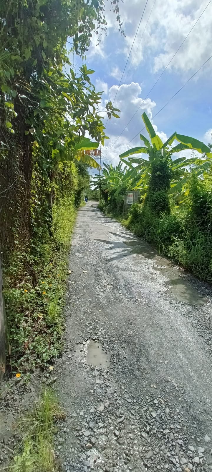 Đất tặng nhà mặt tiền hẻm ô tô phường Phước Hậu 1350m² giá 12.15 tỷ - Cơ hội đầu tư hấp dẫn!