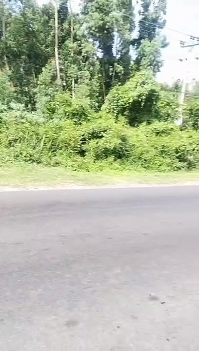 Đất mặt tiền Quốc lộ 25, xã Suối Trai, Đắk Lắk - 1725m², giá chỉ 560 triệu!