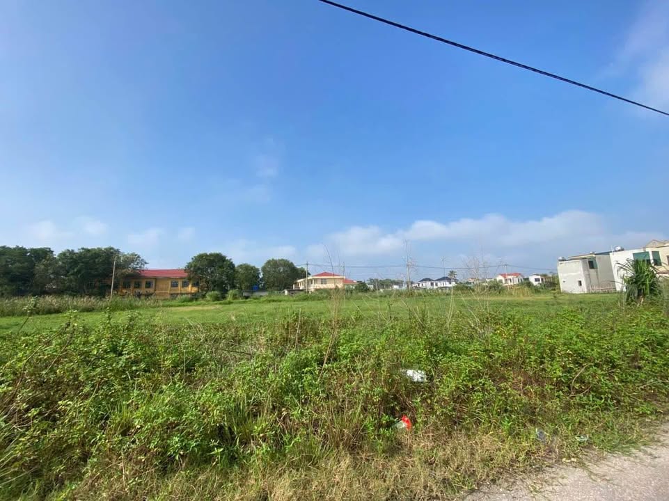 Lô đất chính chủ 116m² tại Quảng Thịnh, Thanh Hóa - Giá chỉ 1,9 tỷ VND!