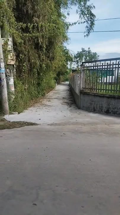 Đất nền mặt tiền An Đức, Ba Tri 471.6m² giá 1.39 tỷ - Sẵn sàng xây dựng!