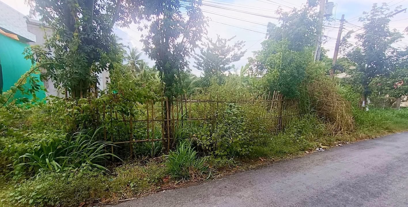 Đất nền mặt tiền Giồng Chi, An Hiệp 750m² giá 850 triệu - Cơ hội đầu tư tuyệt vời!