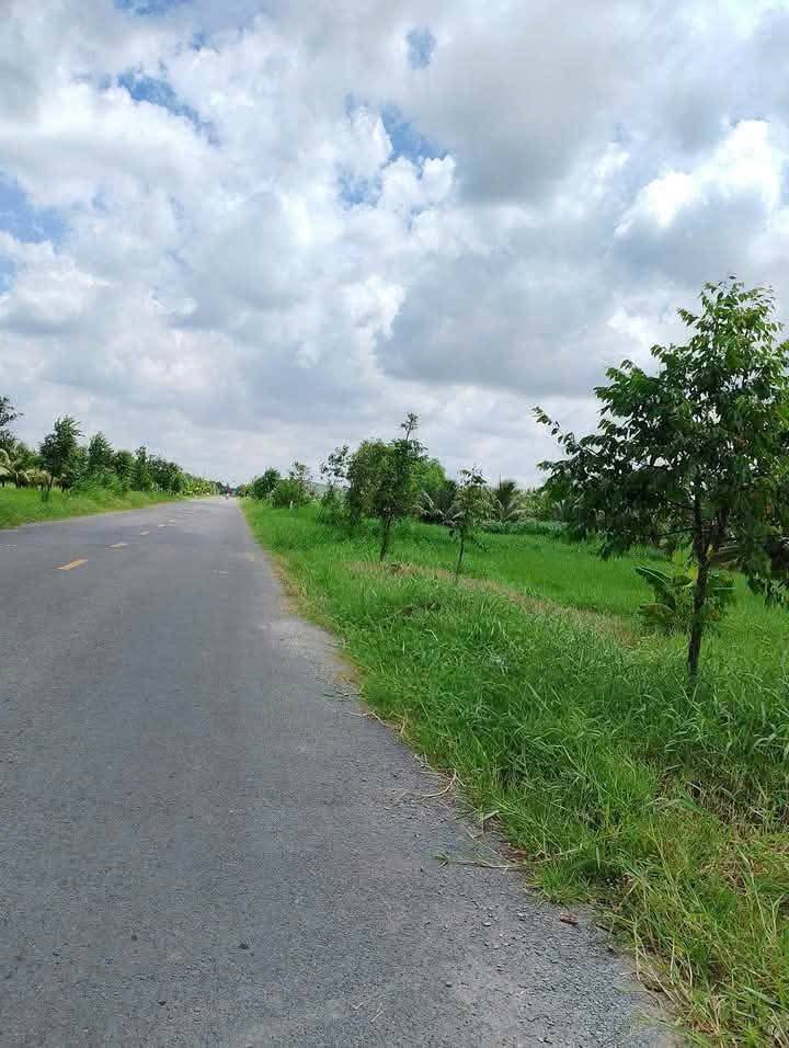 Đất nền Bến Tre 230m² giá 890 triệu - Cơ hội đầu tư tuyệt vời!