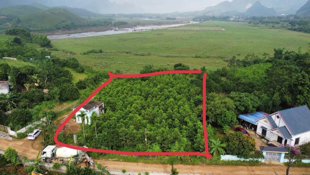 Đất nền Mỵ Hòa Kim Bôi 3000m² giá 3 tỷ - Lô góc, sổ hồng chính chủ!