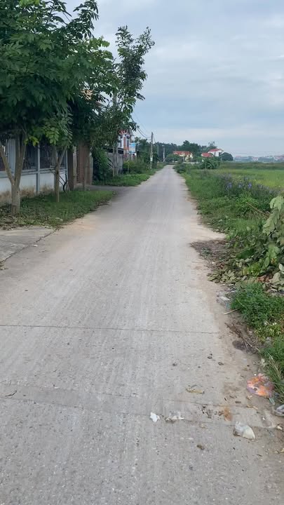 Đất nền Quỳnh Sơn, Yên Dũng 160m² giá chỉ 999 triệu - Cơ hội đầu tư hấp dẫn!