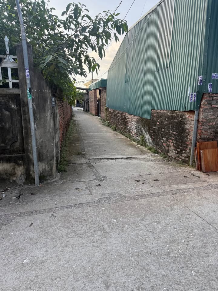 Đất nền xã Đại Xuyên, Phú Xuyên, 52m² giá nhỉnh 1 tỷ - Gần chợ và hồ điều hòa