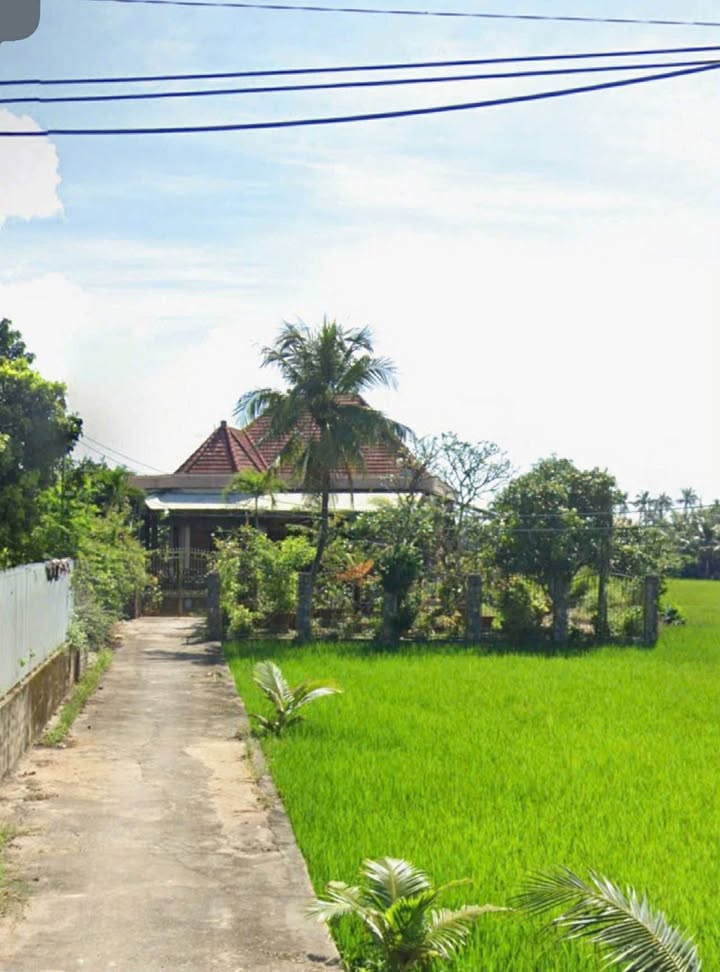 Đất Diên Phú, Diên Khánh 729m² giá 5.5 tỷ - View đồng lúa mát mẻ!