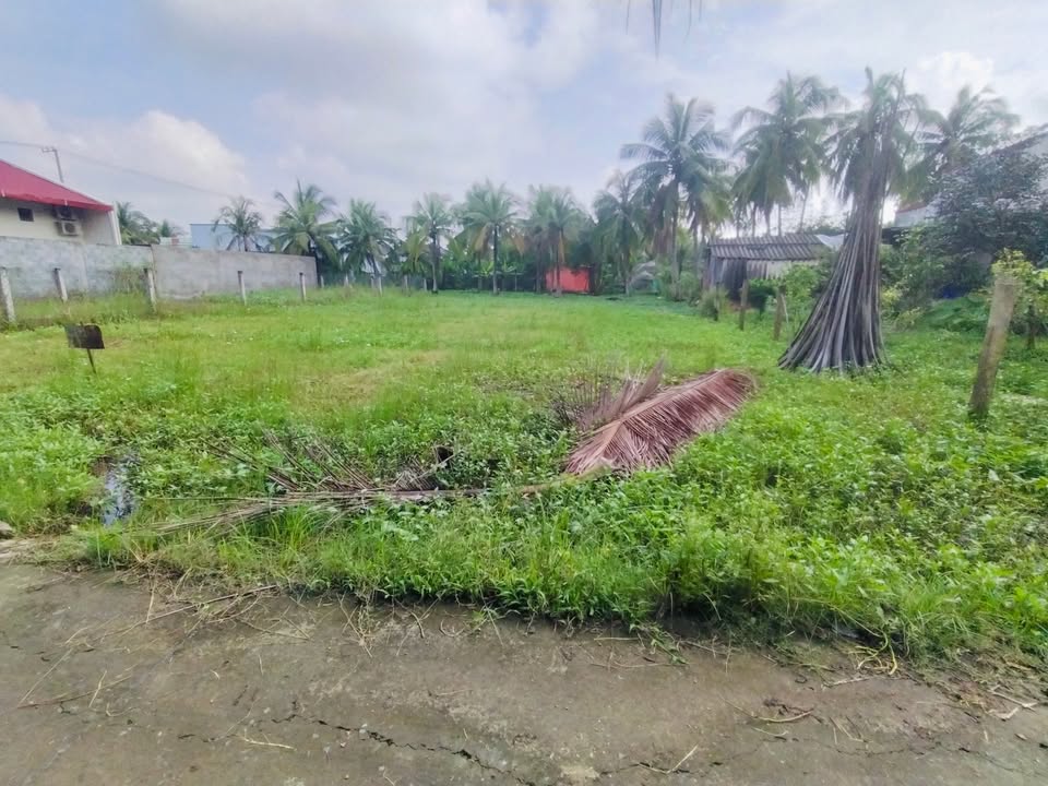 Đất thổ cư 256m² tại ấp Thới An A, Gò Công Tây, giá chỉ 590 triệu - Sổ đỏ chính chủ!