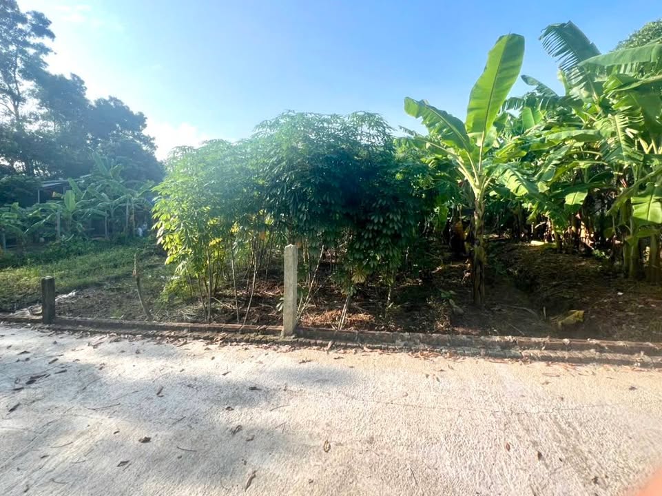 Đất Hồng Hà 1, Bến Gót, Việt Trì 100m² - Sổ đỏ chính chủ, đầu tư sinh lời!