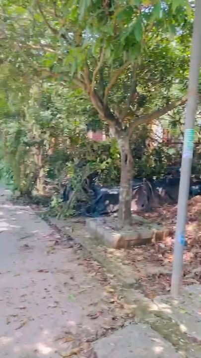 Đất ở Hồng Châu, Hưng Yên 74m² giá 3 tỷ - Cơ hội đầu tư tuyệt vời!