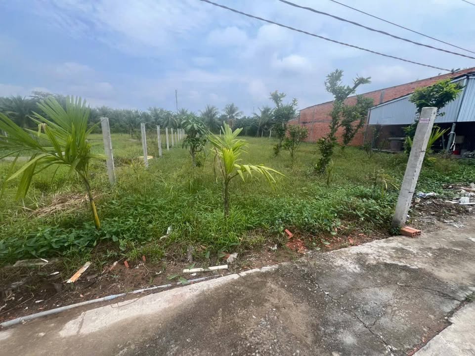 Đất nền phường Mỹ Phong 113m² giá 450 triệu - Cơ hội vàng cho nhà đầu tư!