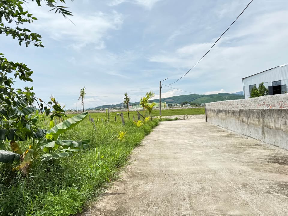 Đất Nhà Vườn Hòa Khánh 300m² giá 2 tỷ - Sổ đỏ chính chủ, ô tô đến nơi!