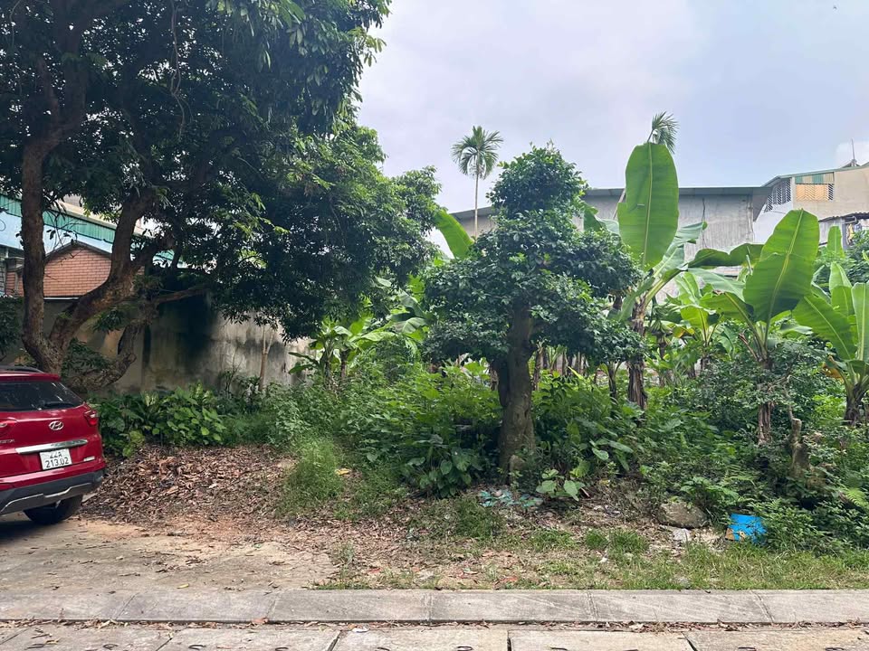 Đất thổ cư 115m² chính chủ tại đường Lê Duẩn, Tuyên Quang - Tiềm năng đầu tư lớn!