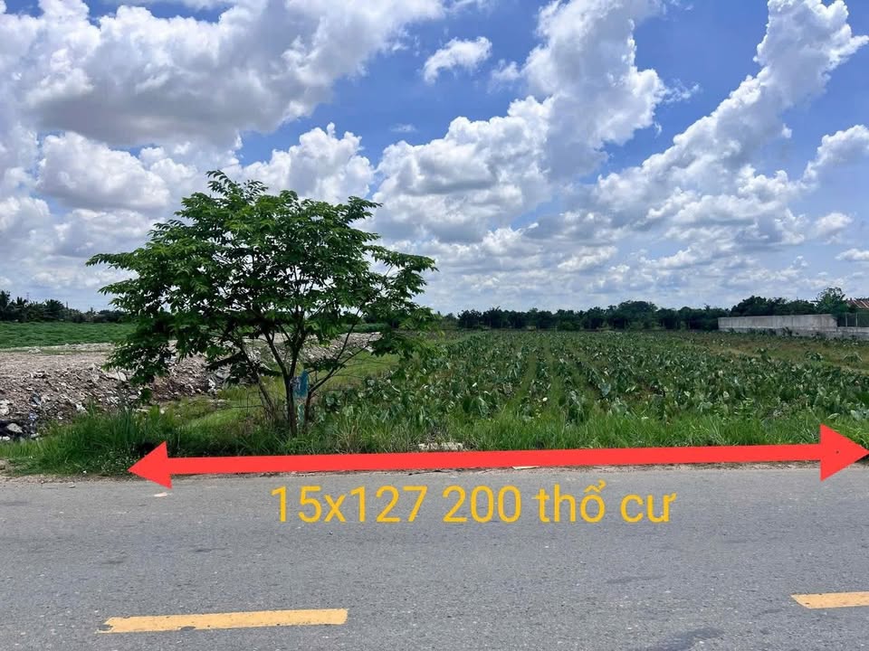 Đất thổ cư Bến Cầu Tây Ninh 1905m² giá 47.624 tỷ - Tiềm năng phát triển vượt bậc!