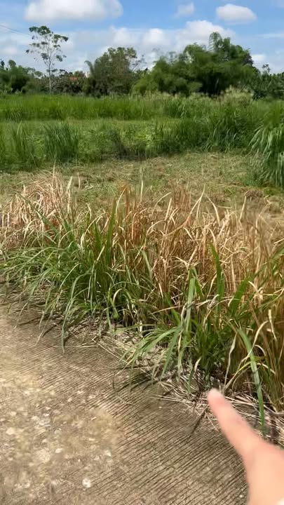 Đất nền Nghĩa Kỳ 626m² - Mặt tiền 21m, giá thỏa thuận hấp dẫn!