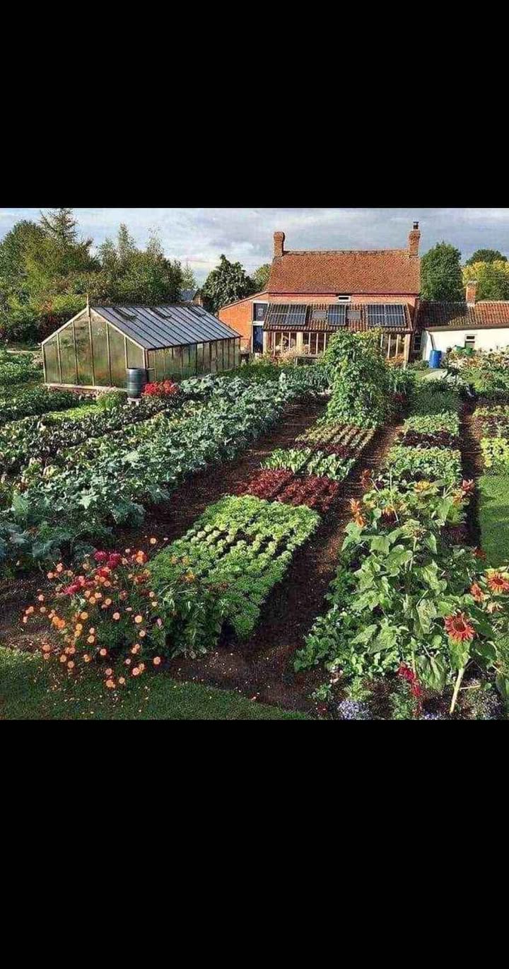 Đất nền 2000m² tại Đạ Sar, Lạc Dương - Cơ hội đầu tư tuyệt vời!