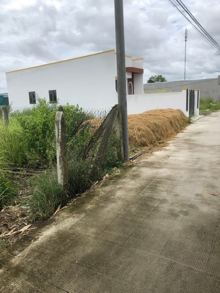 Đất nền Phước Vân Cần Đước 100m² giá 750 triệu - Sổ hồng chính chủ