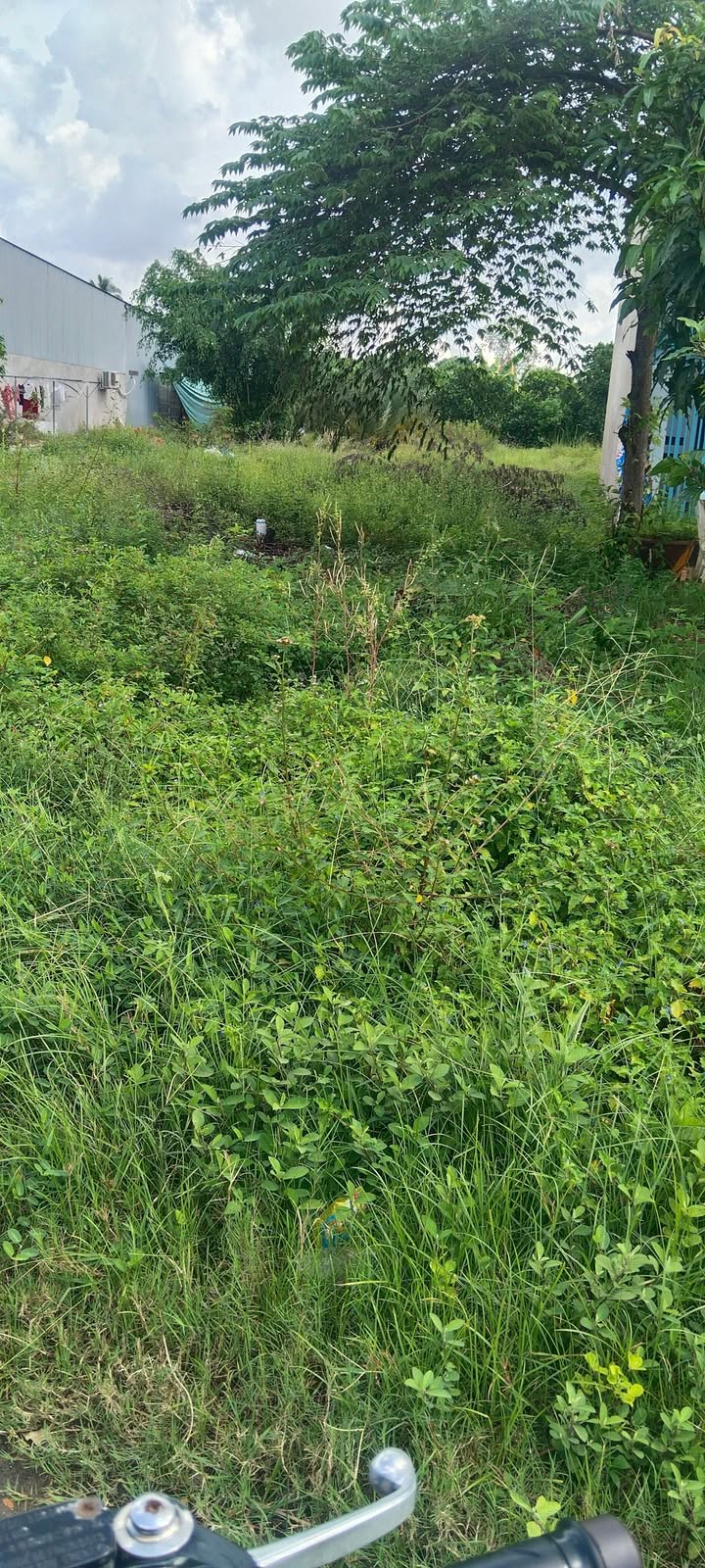 Đất nền mặt tiền tỉnh lộ 952, xã Vĩnh Xương, 96m² - Cơ hội đầu tư hấp dẫn!