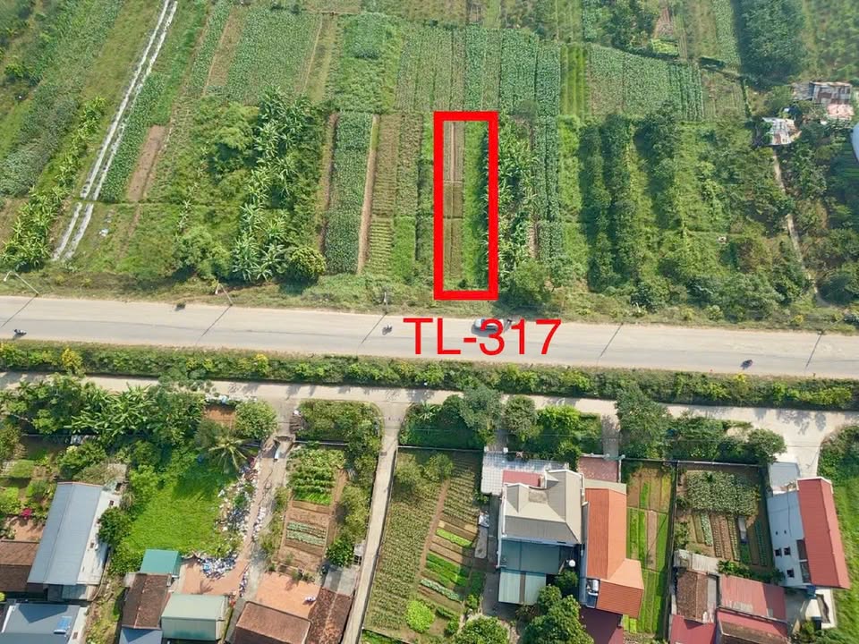 Đất mặt đường tỉnh lộ 317, xã Tân Phương, 100m² giá 1.1 tỷ - Cơ hội đầu tư hấp dẫn!
