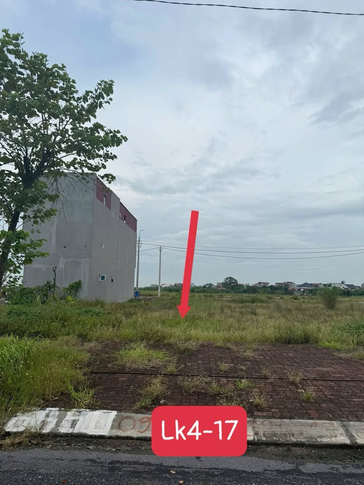 Đất nền LK4 Tống Phan, Phù Cừ, Hưng Yên 101,75m² chỉ 3 tỷ - Cơ hội vàng đầu tư!