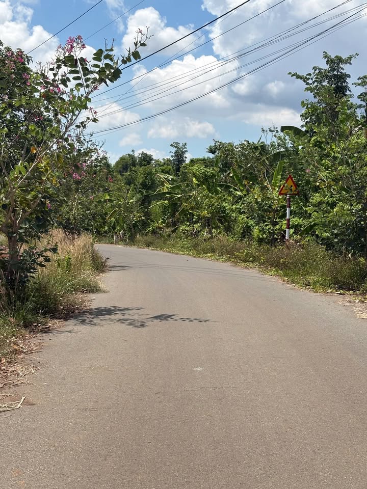 Đất Kim Long, Châu Đức 258m² giá 860 triệu - Cơ hội đầu tư tuyệt vời!