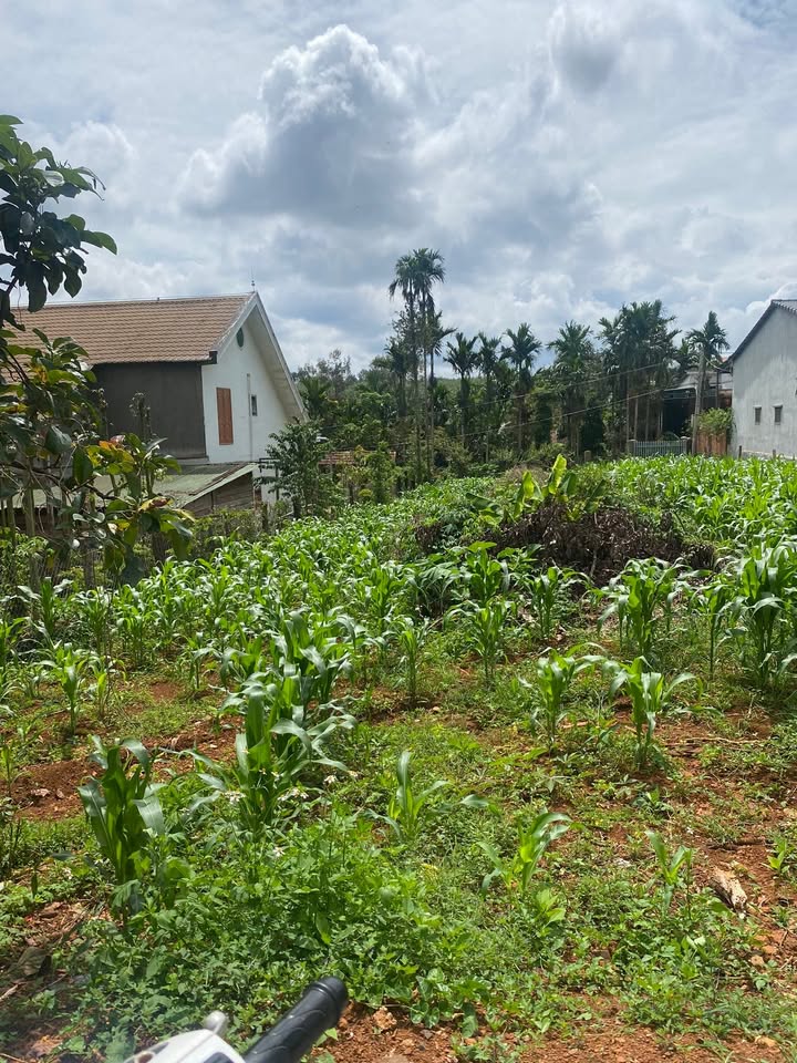 Đất nền 2 mặt tiền Đức Mạnh 376m² giá 1.08 tỷ - Đầu tư sinh lời ngay!