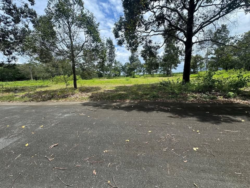 Đất nền Tái định cư Định Hiệp - Bình Dương 231m² giá 700 triệu - Sổ hồng trao tay!